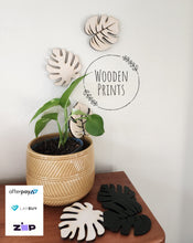 Indoor Plant Climbers (set of 5)